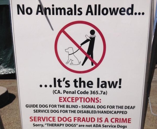 When we reward people willing to break laws with more access to puppies, we've definitely done something wrong.